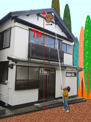 ハチの駆除イメージ